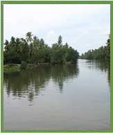 alappuzha-backwaters