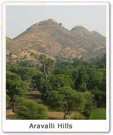 Aravalli Hills