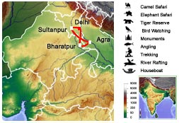 Taj Mahal Birding Tour in India