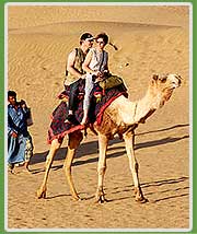 Camel Safari Rajasthan