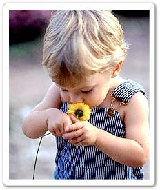 Toddler sniffing a flower