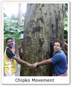 Chipko Movement