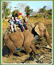 Chitwan  National Park