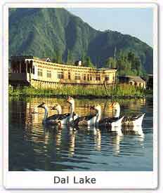 Dal Lake 