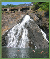 Dudhsagar waterfalls 