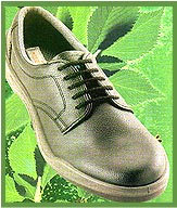 Eco Shoes
