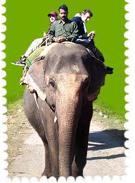 Cherish Your Travel Experience