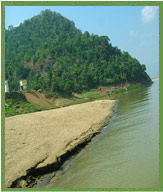 godavari-river