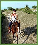 Horse Safari in india