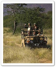 JEEP SAFARI