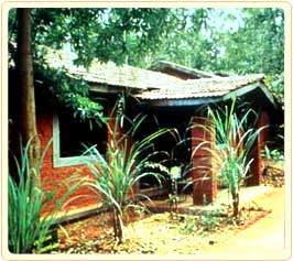 Kanha Jungle Lodge