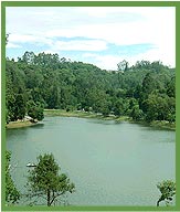 Kodaikanal Lake 