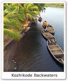 Kozhikode Backwaters