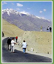 Leh Ladakh Trekking