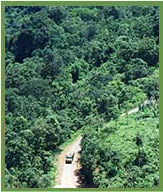 Naga Manipuri Chin Hills Moist Forests 