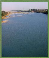 narmada-river