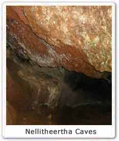 Nellitheertha Caves