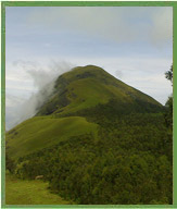 nilgiri-hills