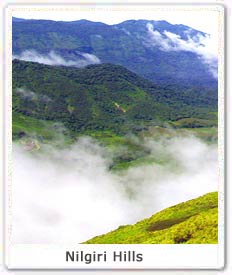 nilgiri-hills