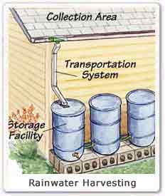 Rain Water Harvesting