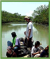 Boat Ride, Sundarbans National Park
