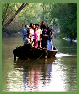 Watching deer form boat  Sundarbans  National Park