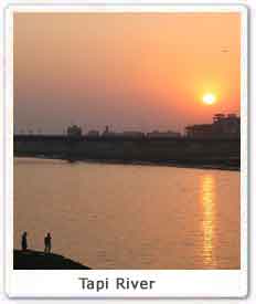 Tapi River