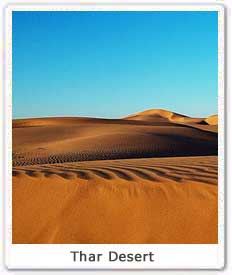 Thar Desert 