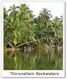 Thiruvallam  Backwaters