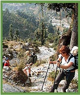 Trekking in india