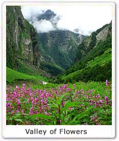 Valley of Flowers