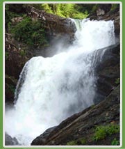 Waterfall in Wayanad