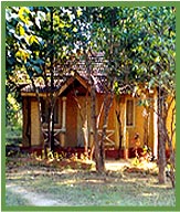 The Wild Chalet Resort, Kanha